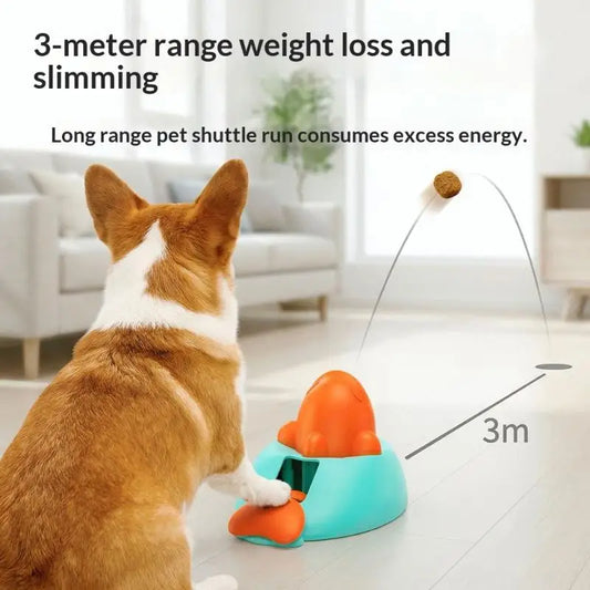 Interactive Dog Puzzle Toys