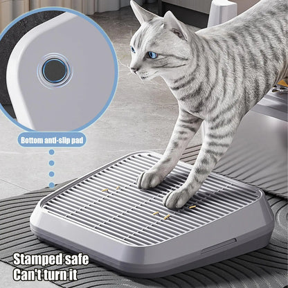 Ramp Elevated Non-Slip Tray Litter Box Step Cat Litter Catcher Mat With Filter Function Anti Tracking Easy Cleaning Supplies