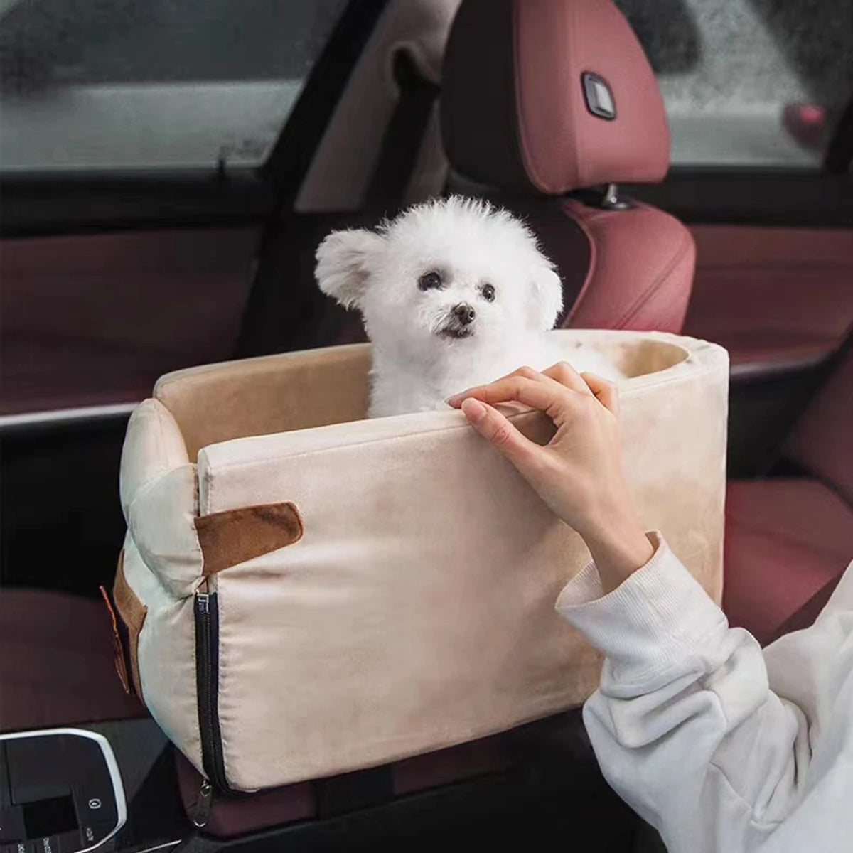 Dogs- Small Dogs Basket for Car